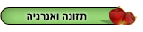 תזונה ואנרגיה