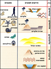 מבואות : גיאולוגיה : לוח אירועים גיאולוגיים עיקריים והמאובנים החשובים בישראל