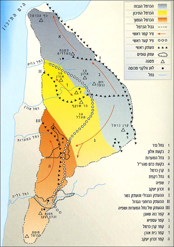 מבנה גיאולוגי של הכרמל