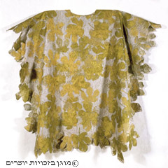 עור/ אור
