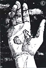 Brudermord