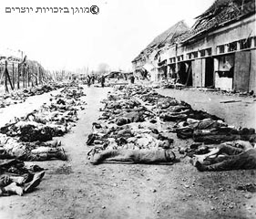 ממצלמתו של חייל : לאחר השחרור