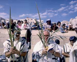 תפילה עם ארבעת המינים