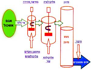 סכמת תהליך סינון ישיר