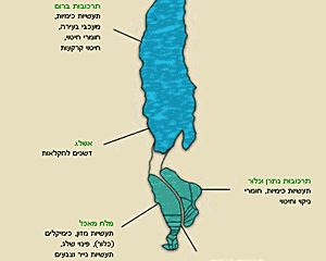 מגוון מוצרי ים המלח