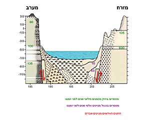 גיל הסלעים באזור ים המלח