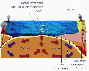 זרמי ערבול