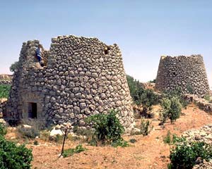 מגדלים (שומרות) בכרם